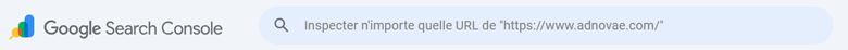 Inspection Google Search-Console